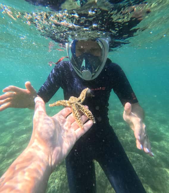 Lisbon: Arrábida Kayak & Wild Beach Snorkeling Pickup Option - Staff and guide style: why the vibe feels personal