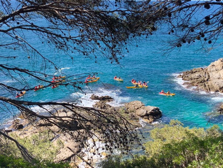 Lloret de Mar: 3-Hour Kayak and Snorkel Tour on Costa Brava - Meeting your guide: style, language, and how the group stays small