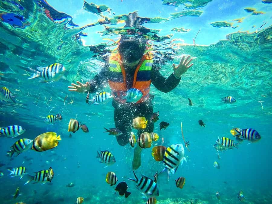 Lombok: Gili Nanggu, Sudak, & Gili Kedis Private Snorkeling - Quick highlights I’d use to decide fast