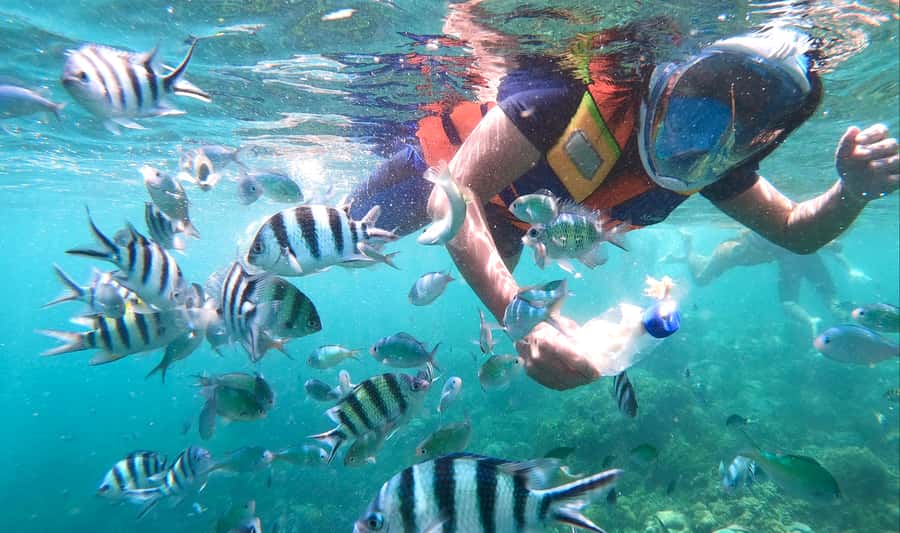 Lombok: Gili Nanggu, Sudak, & Gili Kedis Private Snorkeling - From Senggigi pickup to a small-boat day