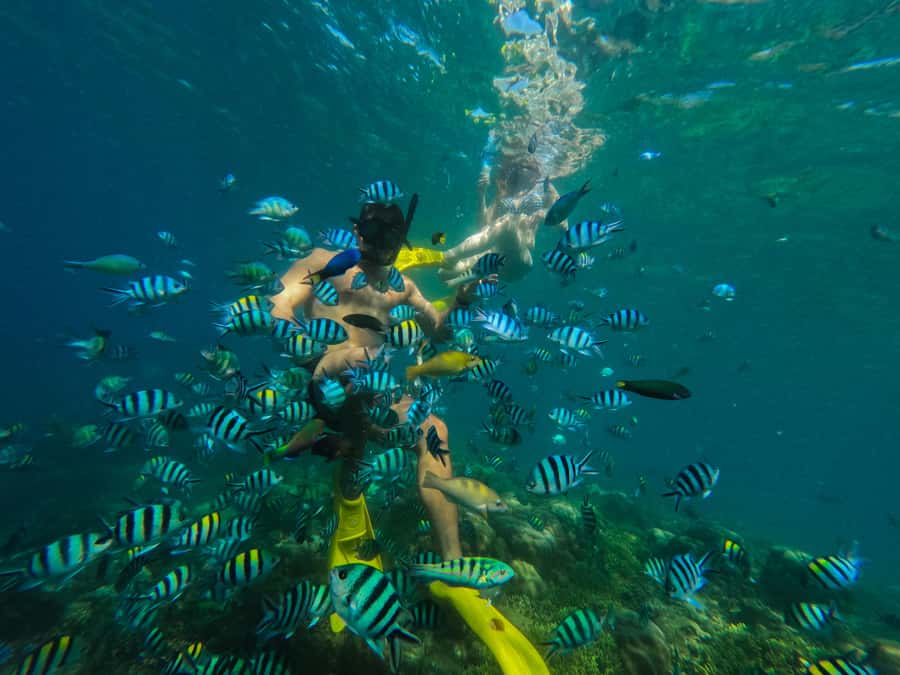 Lombok: Gili Nanggu, Sudak, & Gili Kedis Private Snorkeling - Gili Sudak lunch and shore time without the rush