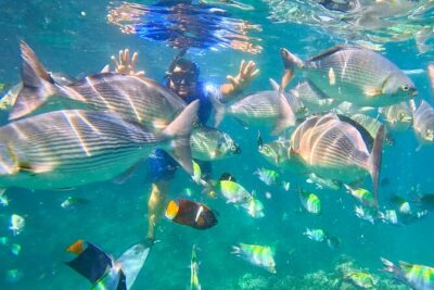 Los Arcos 5 islands Snorkeling Cliff Jumping and Hidden Beach - Stop 1: Playa Mismaloya, movie-set ruins, and optional jumping