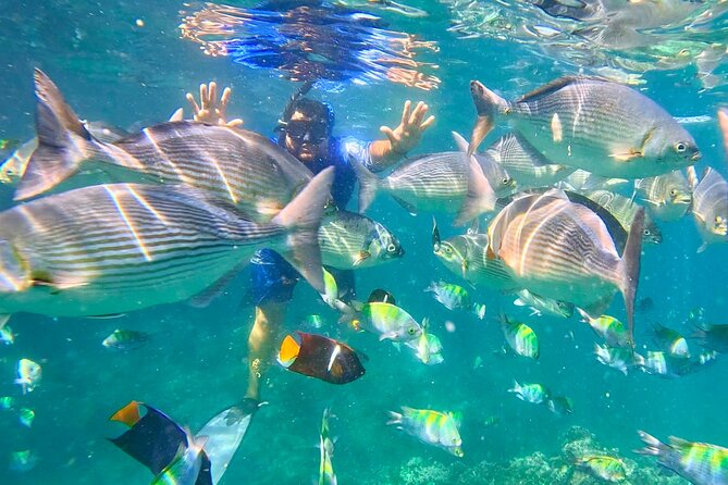 Los Arcos 5 islands Snorkeling Cliff Jumping and Hidden Beach - Stop 1: Playa Mismaloya, movie-set ruins, and optional jumping