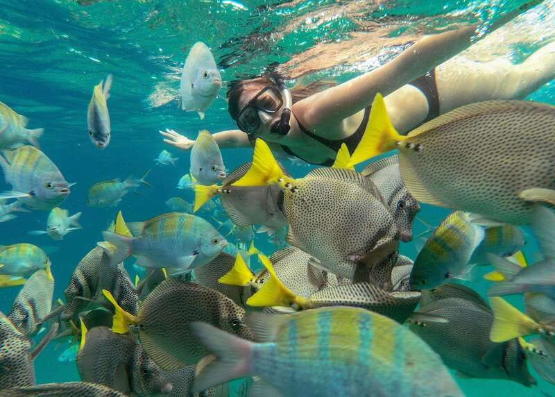 Los Cabos Arch & Lover’s Beach Tour + Snorkeling Tour - El Arco photo stop: letting the guide handle the angles