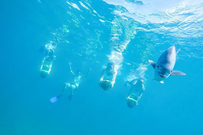 Los Cabos Power snorkel Adventure, Kayaking and Stand-Up Paddle - Key things I’d bet on before you go
