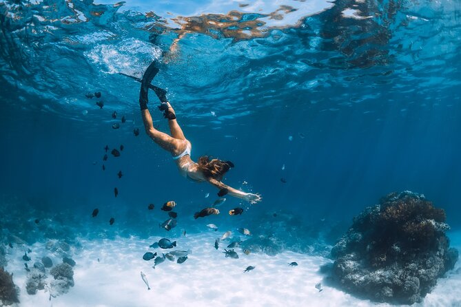Los Cabos Power snorkel Adventure, Kayaking and Stand-Up Paddle - Los Cabos “power snorkel” feels more active than a typical snorkel trip