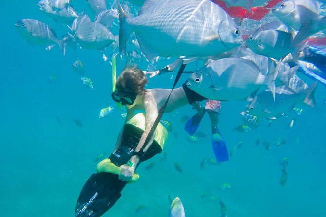 Los Cabos Power snorkel Adventure, Kayaking and Stand-Up Paddle - The quesadillas and salsas: a snack, not a full meal