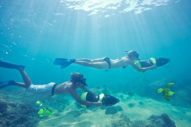 Los Cabos Power snorkel Adventure, Kayaking and Stand-Up Paddle - Price and budget: what the $99 doesn’t cover