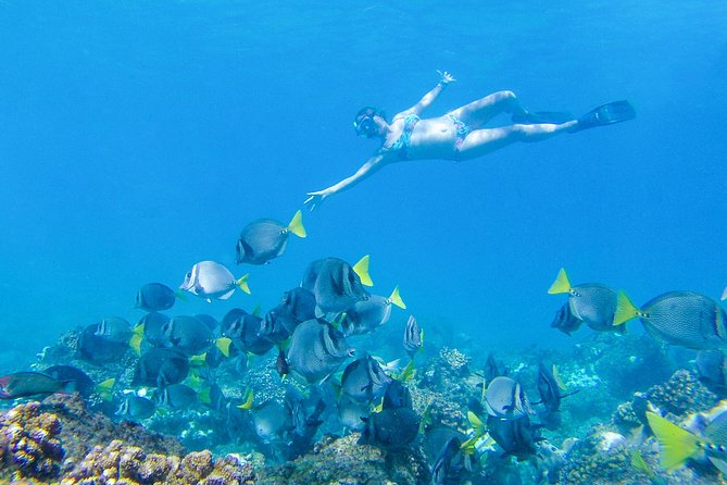 Los Cabos Power snorkel Adventure, Kayaking and Stand-Up Paddle - Who this tour fits best (and who might choose a different style)