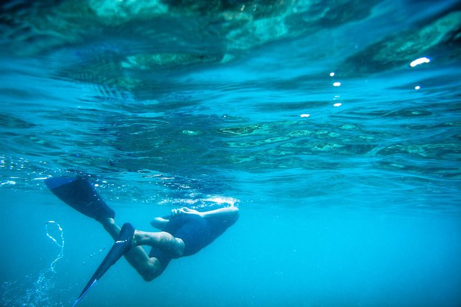 Los Cabos Snorkeling Tour to Chileno Bay and Santa Maria Cove - Shore-entry snorkeling at Santa Maria and Chileno Bay