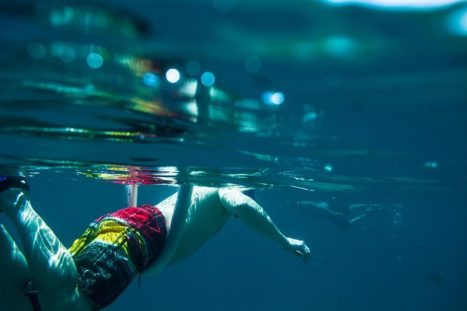 Los Cabos Snorkeling Tour to Chileno Bay and Santa Maria Cove - Why the guide matters more than you think
