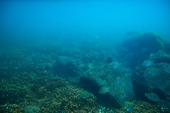 Los Cabos Snorkeling Tour to Chileno Bay and Santa Maria Cove - Beach setup: wetsuits, shade, and the snacks part nobody plans for