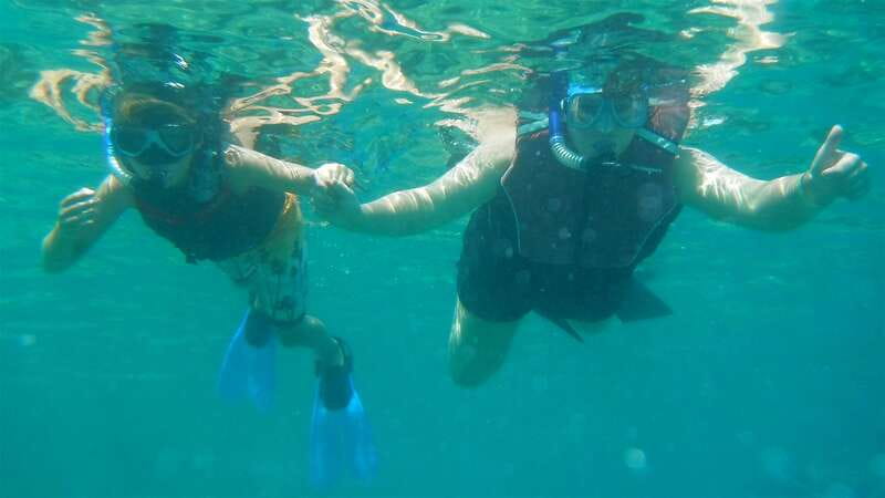 Los Cabos: The Arch and Lover's Beach Kayaking + Snorkeling - Sea lions and coastline traffic: the sights that happen while you glide