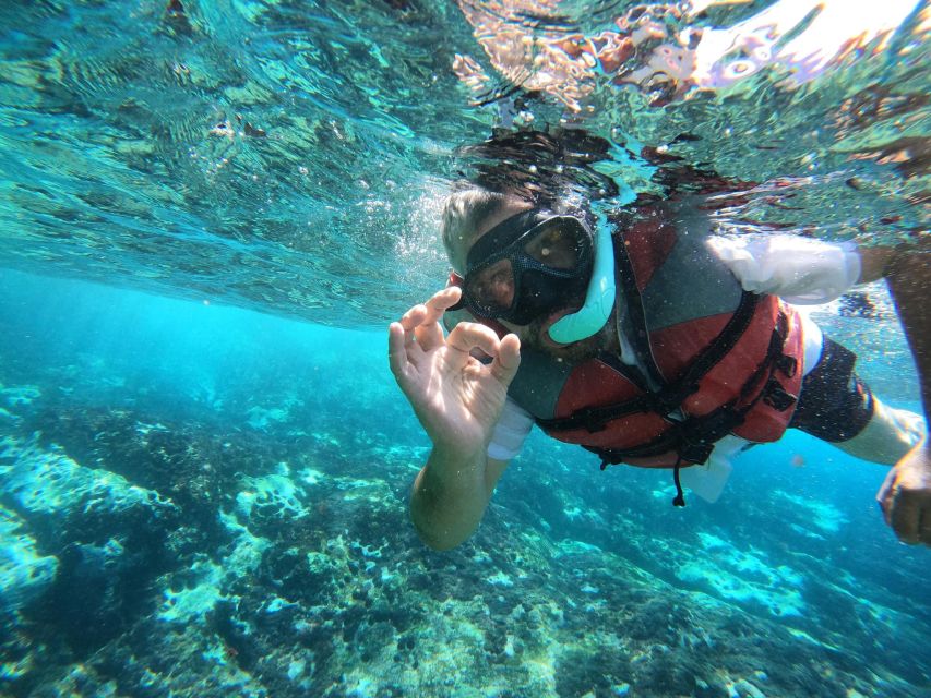 Los Cristianos: Kayaking and Snorkeling with Marine Wildlife - Guides, Safety, and the “Calm Crew” Factor