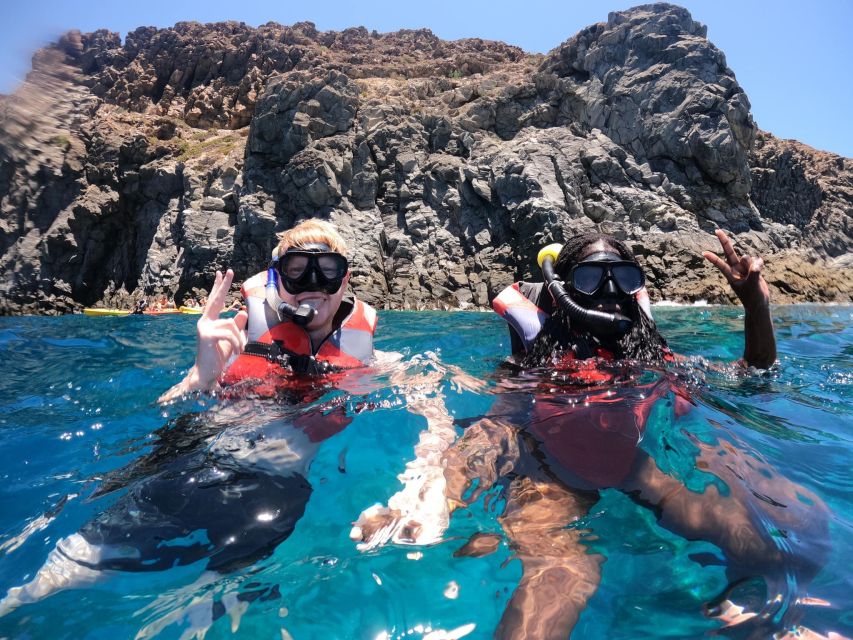 Los Cristianos: Kayaking and Snorkeling with Marine Wildlife - Who This Tour Is Best For