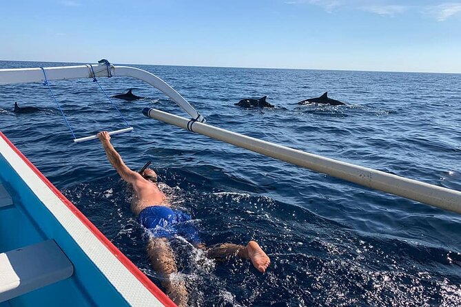 Lovina Dolphin Watching, Swimming, and Snorkeling Experience - Key highlights you’ll actually care about