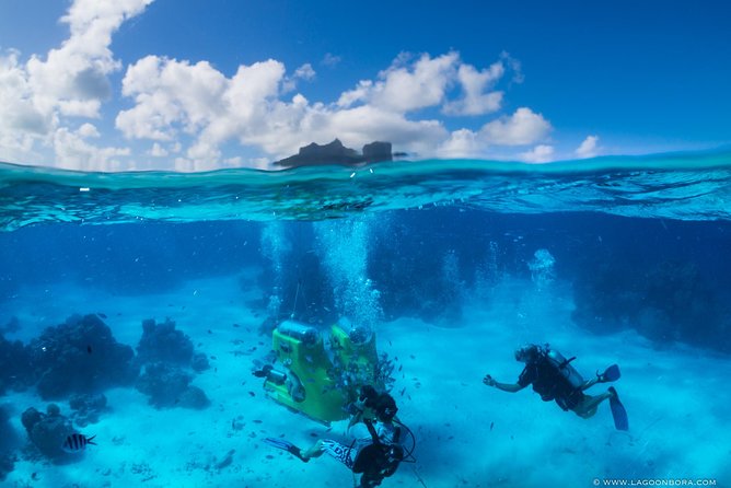 LUXURY Catamaran Bora Bora : Sailing, Snorkeling & Floating Bar - The Snorkeling Part: A Natural Coral Garden With a Guide