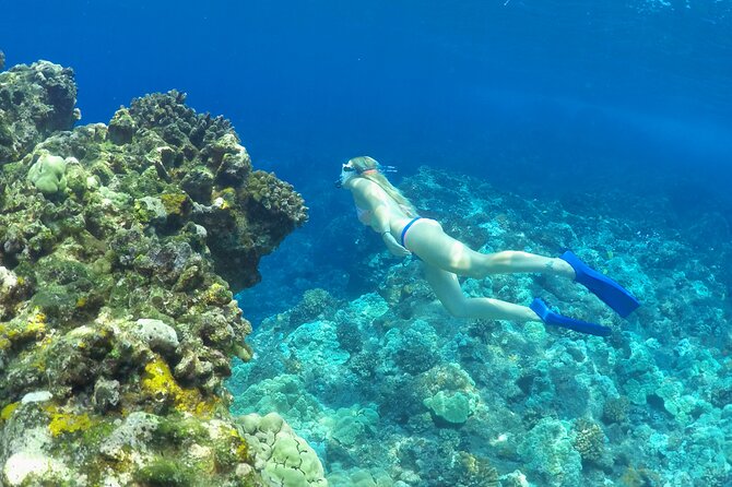 Luxury Kona Coast Snorkel Tour Including Lunch - Environmental Mindset Without Killing the Fun