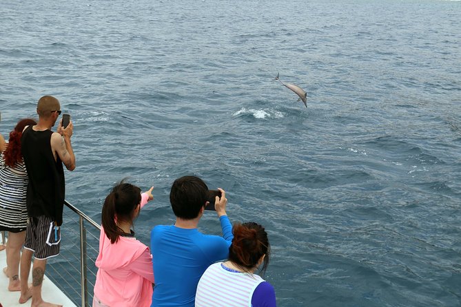 Luxury Snorkel Cruise, Local Buffet with Whale & Dolphin Watch - Boat Comfort Details That Make the Trip Feel Finished