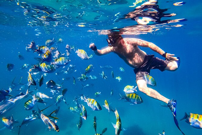 Luxury Yacht & Snorkel with All inclusive Open bar and lunch - Who should book this tour, and who should skip it