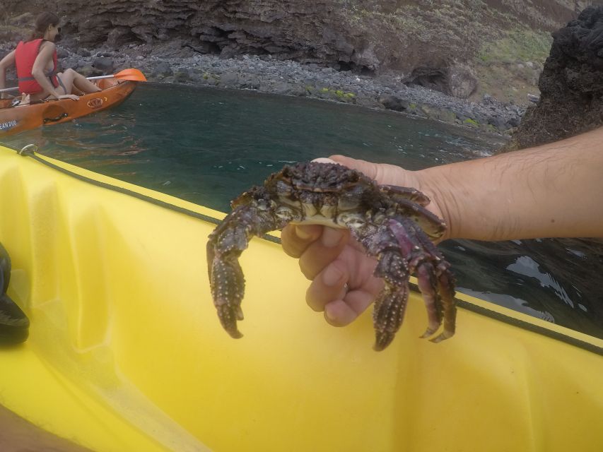 Madeira: Garajau Nature Reserve Kayak and Snorkel Tour - Who This Tour Fits Best (and Who Should Think Twice)