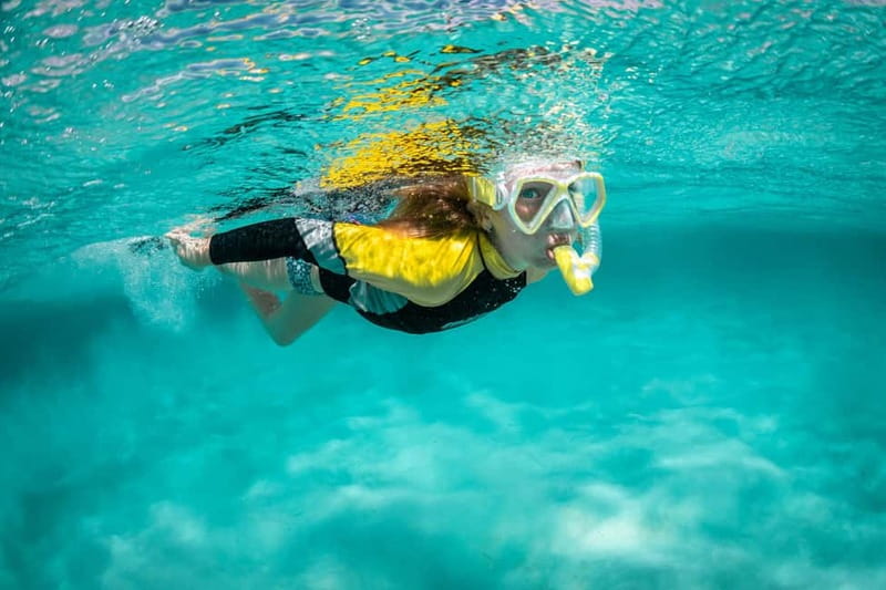 Madeira: Ponta de São Lourenço Snorkeling Boat Trip - Key Things To Know