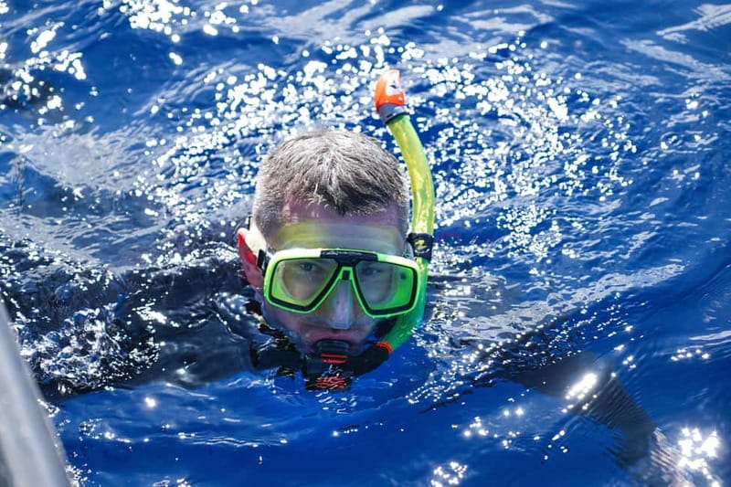 Madeira: Ponta de São Lourenço Snorkeling Boat Trip - The Geology Lesson You’ll Actually Remember