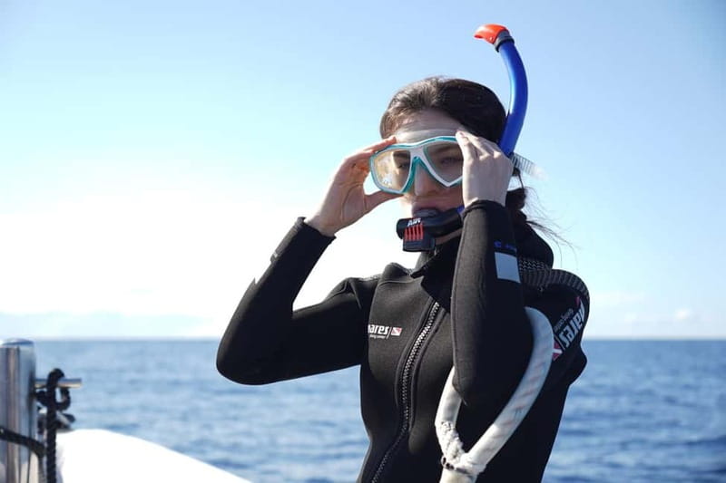 Madeira: Ponta de São Lourenço Snorkeling Boat Trip - Who This Snorkeling Trip Fits Best