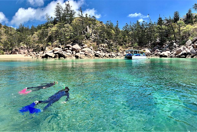 Magnetic Island Discovery Tour with Snorkeling & Paddle Boarding - Key Reasons This Tour Gets Such Strong Love