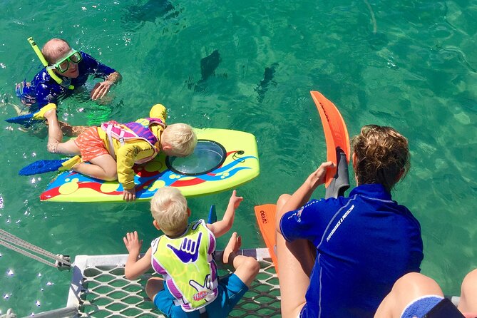 Magnetic Island Discovery Tour with Snorkeling & Paddle Boarding - Secluded Bays, Rock Formations, Birdlife, and the Fish You’ll Spot