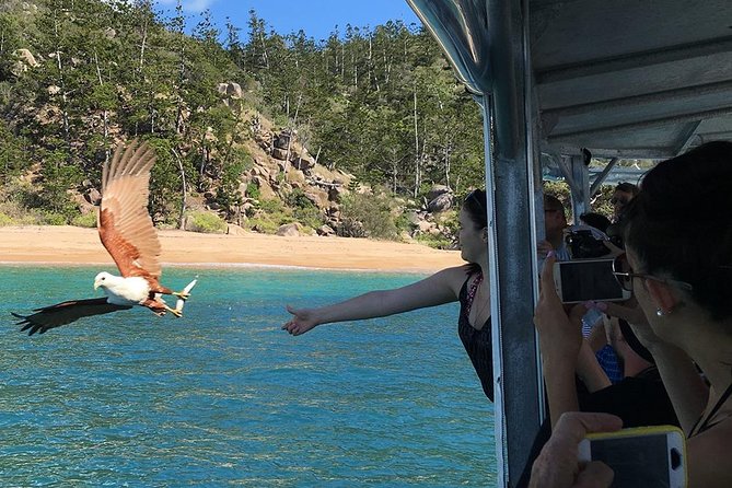 Magnetic Island Discovery Tour with Snorkeling & Paddle Boarding - Morning Tea by the Sea: Comfort That Doesn’t Feel Like an Afterthought