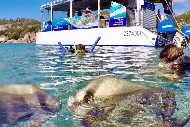 Magnetic Island Discovery Tour with Snorkeling & Paddle Boarding - Weather Reality: When the Sea Gets Rough