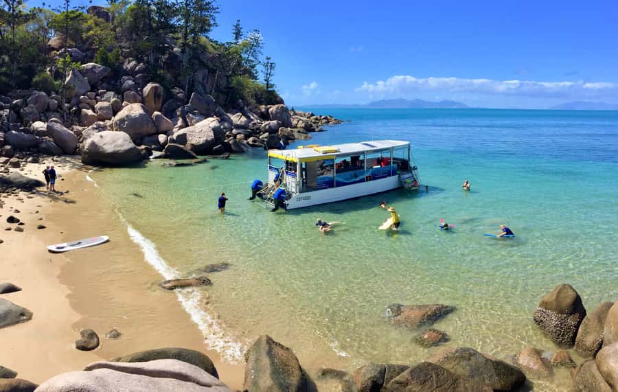 Magnetic Island: Snorkel Discovery Tour - A snorkel day that feels like a local’s route, not a one-size loop