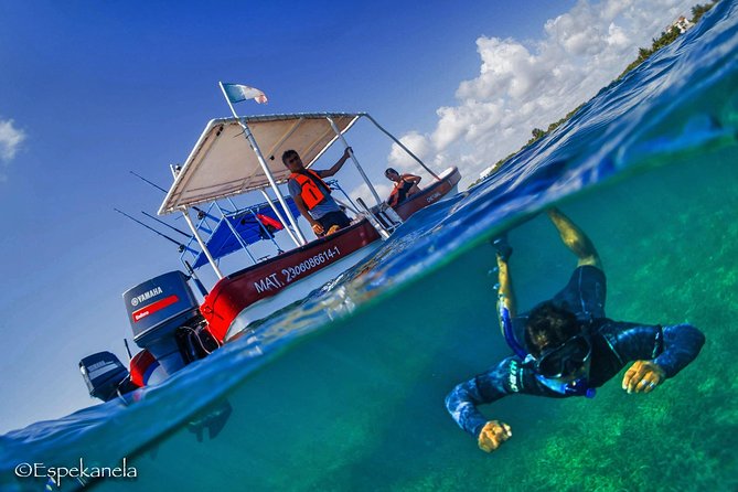 Mahahual Snorkeling Adventure: Turtle Encounter - The vibe: beginner-friendly turtle snorkeling, not a big production