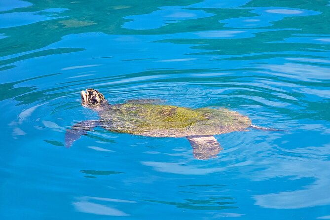 Major Tom -Sailing Day Cruise, with Snorkeling, Lunch & More! - Beach visit and Mamas Market: local crafts without the rush