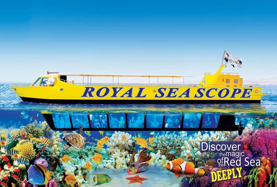 Makadi Bay: Royal Seascope Submarine Cruise & Snorkel stop - Key highlights I’d plan around