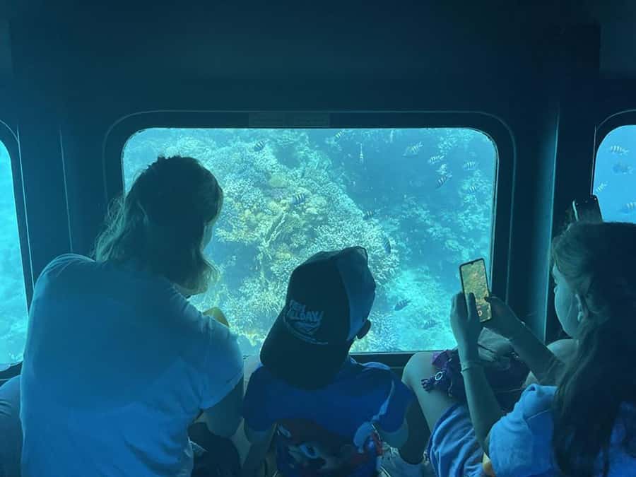 Makadi Bay: Royal Seascope Submarine Cruise & Snorkel stop - The underwater deck: the real draw at 3 meters down