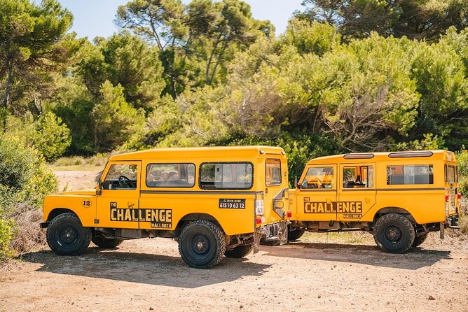 Mallorca: Kayaking, Sea Cave, Cliff Jumping & Snorkel Tour - What this Mallorca kayak–cave–cliff day really delivers