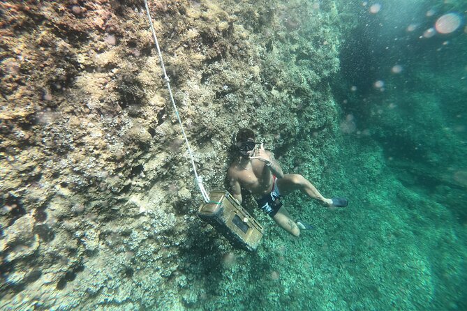 Mallorca: Kayaking, Sea Cave, Cliff Jumping & Snorkel Tour - The gear moment that makes the whole day easier