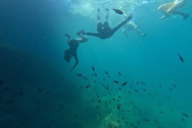 Mallorca: Kayaking, Sea Cave, Cliff Jumping & Snorkel Tour - Snorkel time in the Mediterranean: marine life and the last leg of the quest