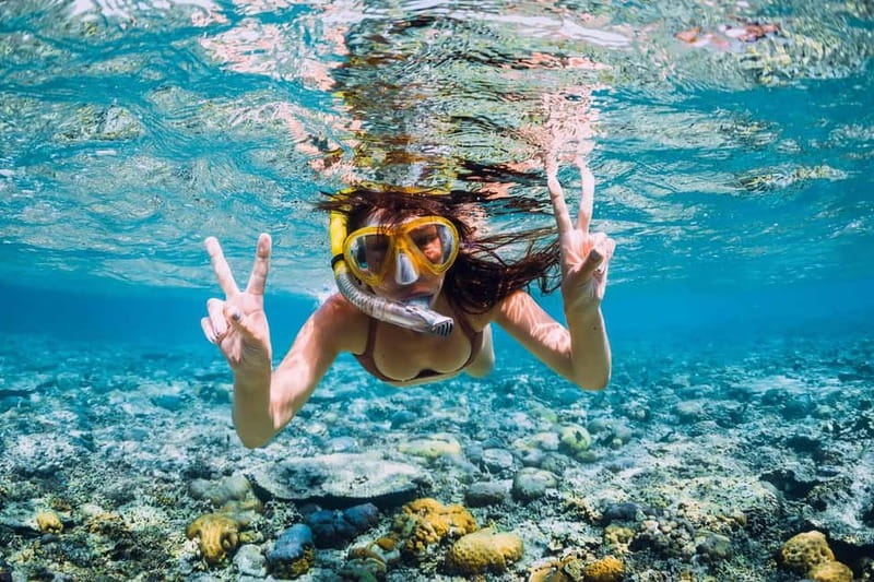 Mallorca: Quad Bike Tour, Snorkeling, and Cliff Jumping - Cliff Jumping and Snorkeling: The Signature Sea Stop