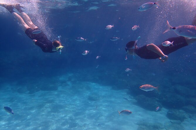 Mallorca: Snorkeling in a Beautiful Nature Reserve - Key points before you go