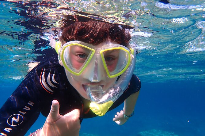 Mallorca: Snorkeling in a Beautiful Nature Reserve - Gear and Safety Briefing: What Makes Beginners Feel Comfortable