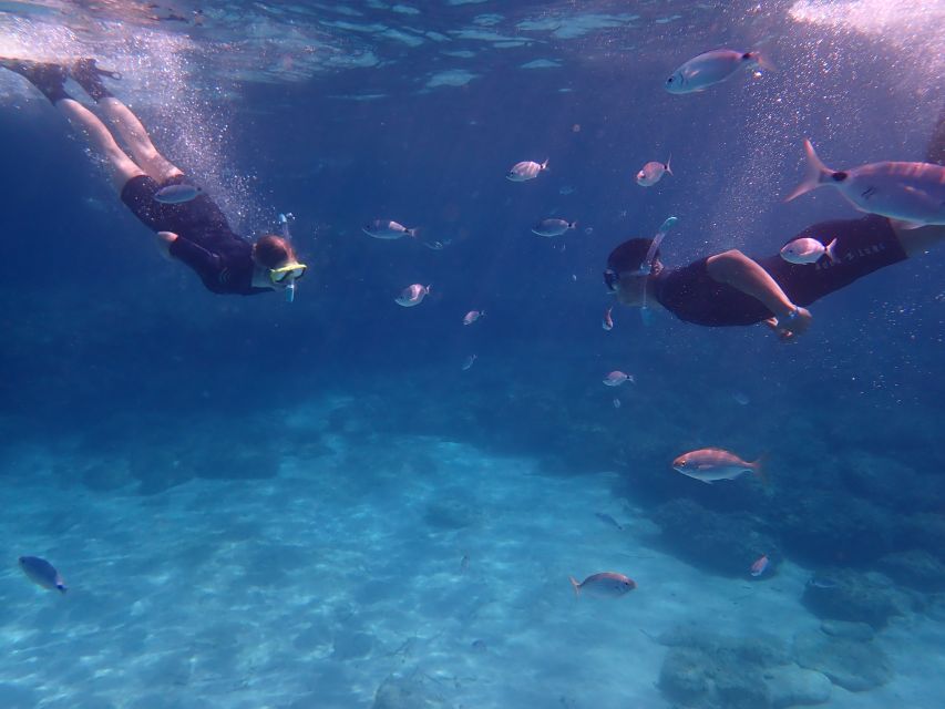 Mallorca: Snorkeling in a Beautiful Nature Reserve - What You’ll See Under the Water: Fish, Rock Formations, and Ray Spotting