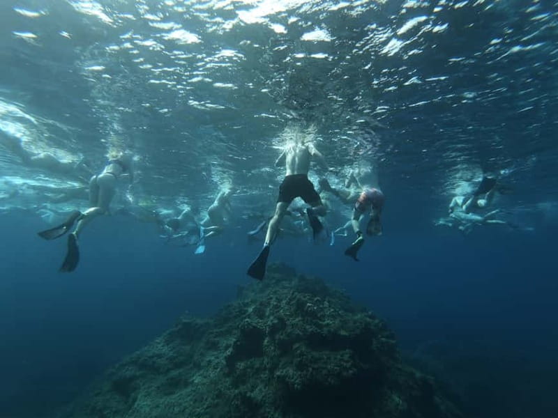 Malta: Snorkeling Tour - Key things that make this snorkeling tour worth your time