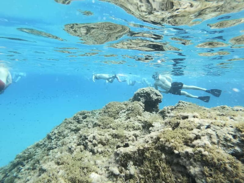 Malta: Snorkeling Tour - What this 150-minute Malta snorkel feels like