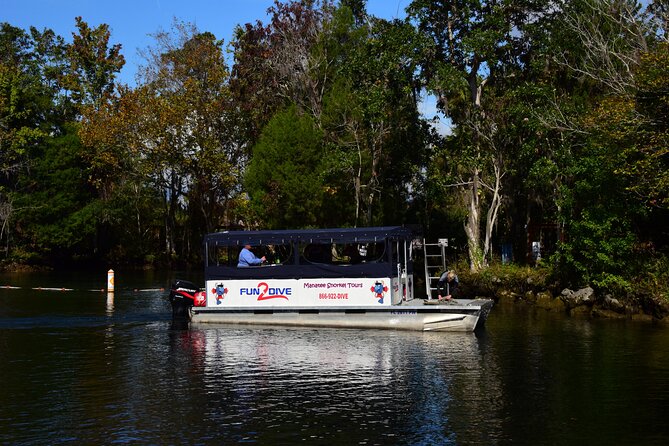 Manatee Snorkel Small Group Tour - Key Things You’ll Appreciate Here