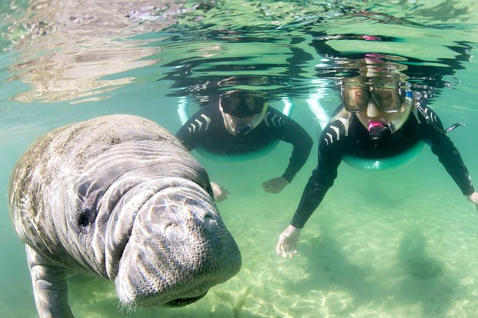 Manatee Snorkel Small Group Tour - Guides and Captains: The Human Touch (Yes, It Matters)