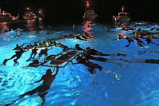 Manta Magic: Small-Group Manta Ray Night Snorkel in Kailua Kona - Key things that make Manta Magic worth your time