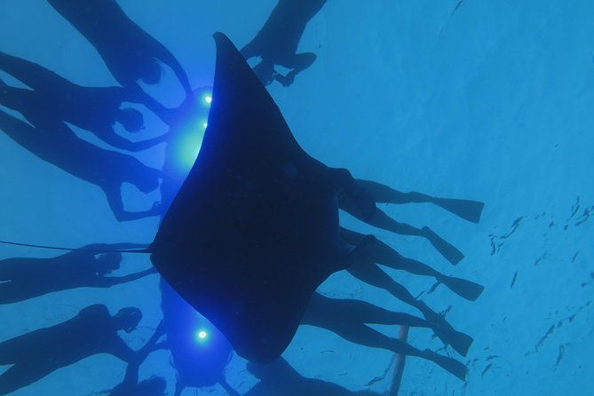 Manta Magic: Small-Group Manta Ray Night Snorkel in Kailua Kona - Gear, wetsuit tops, and comfort in Kona waters